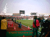 frankfurt4.gif (78449 Byte)