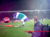 96-12.gif (85185 Byte)