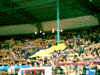 96-17.gif (102977 Byte)