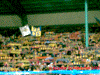 96-18.gif (104688 Byte)