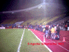 96-23.gif (89649 Byte)