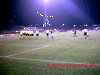 Dresden-4.gif (78223 Byte)