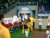 HSV2.gif (145666 Byte)