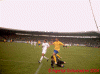 CFC12.gif (65251 Byte)