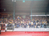 CFC13.gif (111726 Byte)