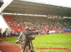 03-04E-Lp16.gif (118500 Byte)