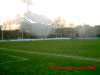 StPauli-8.gif (68654 Byte)