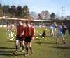 Schiedsrichter.gif (116313 Byte)
